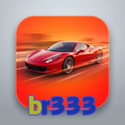 br333